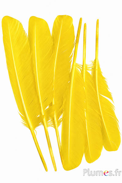Cigno - 30-33 cm - giallo